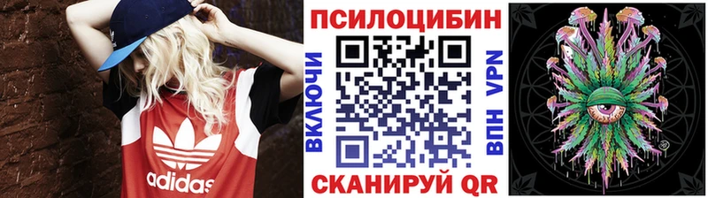 купить  сайты  Миньяр  Галлюциногенные грибы прущие грибы 